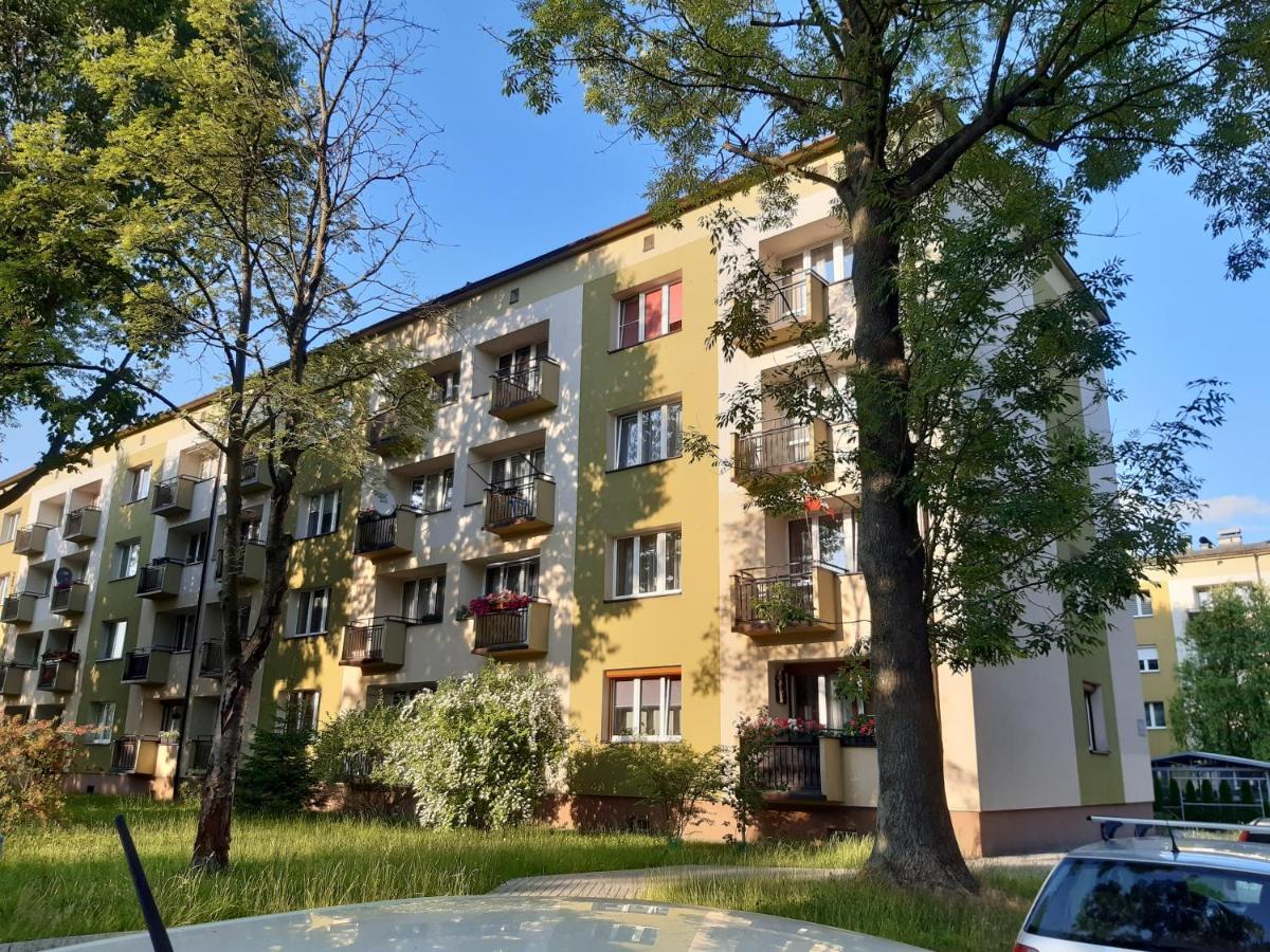Apartment Max Okolice Energylandia Zator